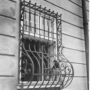 Wrought iron window guards style 6