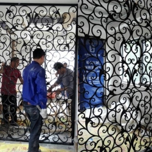 Wrought iron screen style1