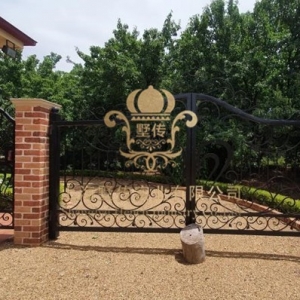 Villa iron gate 01