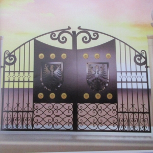 Wrought iron gates manufacturers China fancy driveway gate Hc-g8