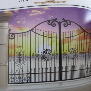 Wrought iron gates manufacturers China fancy driveway gate Hc-g10