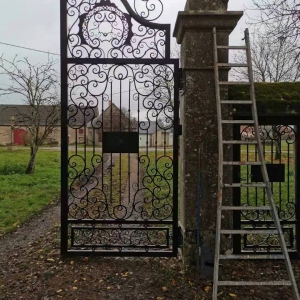 Installed France Wrought Iron Gates With Pedestrian Gates 